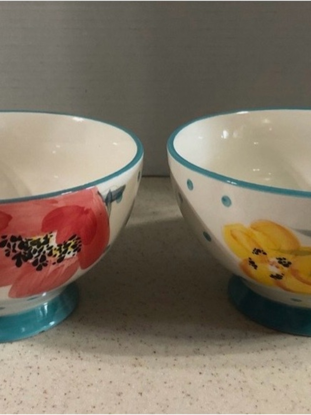 Pioneer Woman Polka Dot Stoneware Bowls set of 2